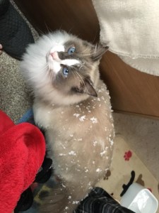 01EA6735-4FDE-4861-80F0-38A1316ADFB5