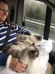 13FE35D3-5BC7-45C8-9660-ABE080608DD4