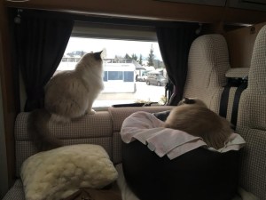 6FCFE2E0-2DEE-460C-9207-6669146D1C9F