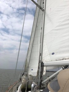 3C5CC253-0935-4AAE-8856-57BEB7F569F7