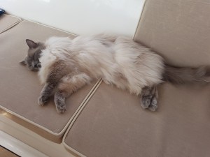 610E12C2-6BC9-4B54-9F87-D48CF4A5FE7E