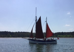 8D59C54C-60CB-4750-83D6-F6D388C020C4