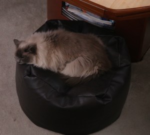 1A598200-D056-4575-9131-0AE87AD934E7