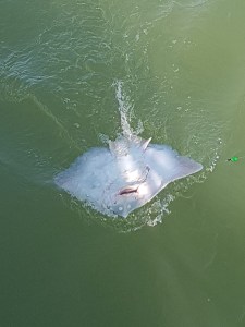 63F74045-7711-4D7B-9EB5-5BDA72238739