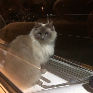 9644B7DA-C0AF-40D3-81AB-09592E5C5E54