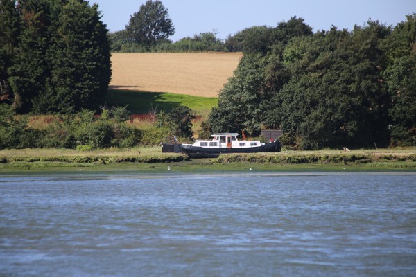 4FC229C0-1F29-4854-B254-96996BF6F768