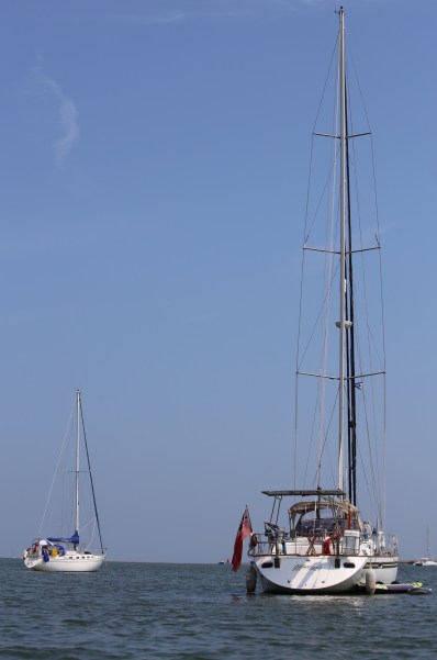 60BCA157-F8E1-4ACB-BC04-102B947C4186