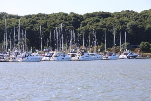 8CEEF154-901A-4448-BE04-D49FD26D8380