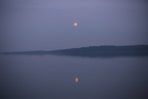 84CE6500-1DDF-451C-A466-8BE38B43FE60