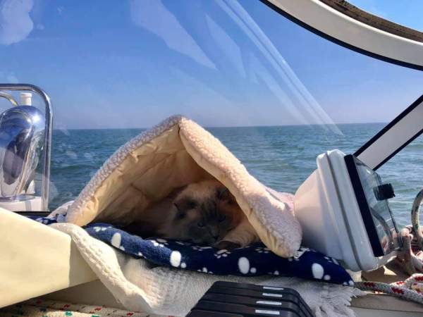 FB_IMG_1557949856295