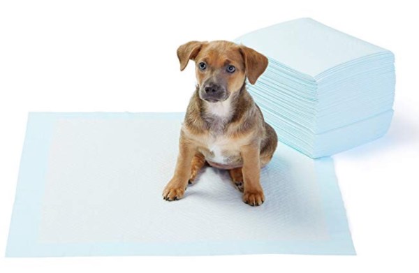 DC8E6737-75A6-406A-84EF-F273E3A11A13