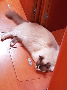 EC0783F3-B77F-47D6-849D-A7EB1114C7CE